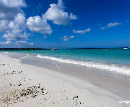 Negril Tree House Resort