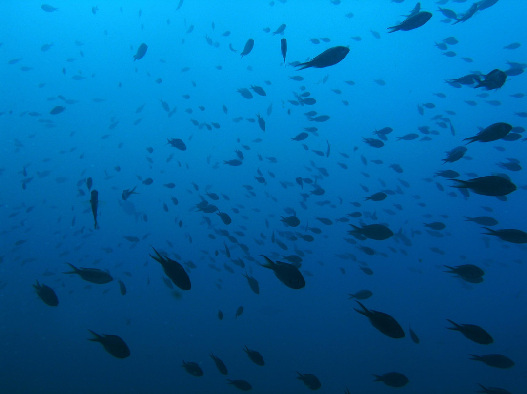 Santo Antao Scuba Diving-Santo Antao必去景点