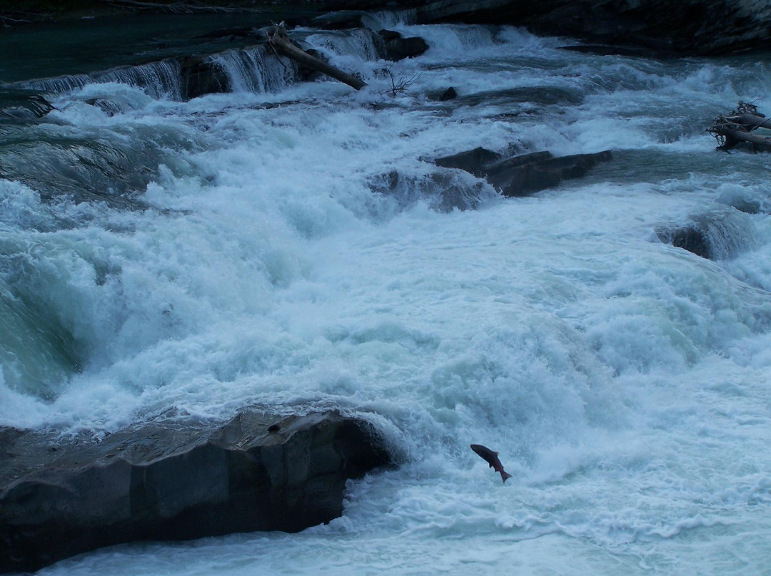 Rearguard Falls-Tete Jaune Cache必去景点