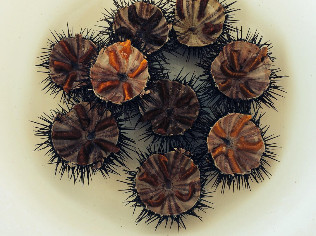 Fish & Fun - Korcula-科尔丘拉镇必去景点