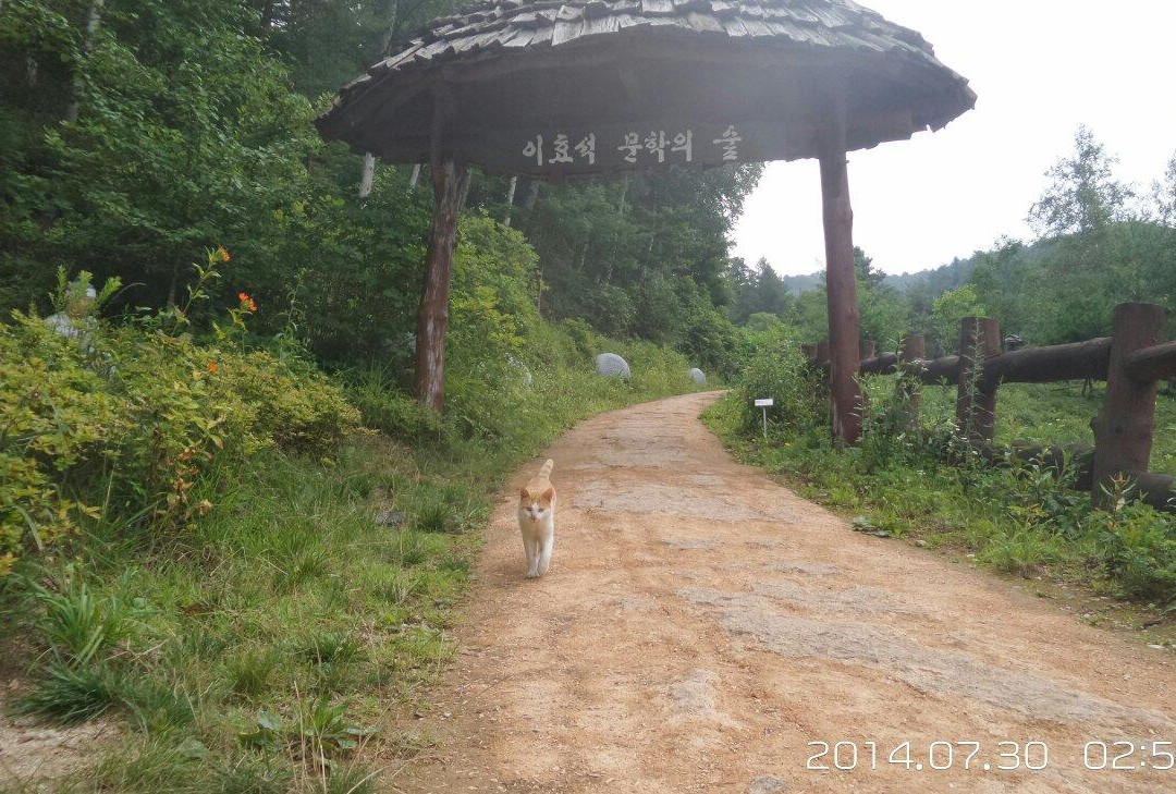 Lee Hyo Seok Literature Forest-平昌郡必去景点