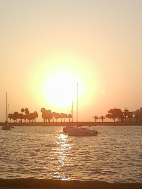 Vinoy Park-圣彼德斯堡必去景点