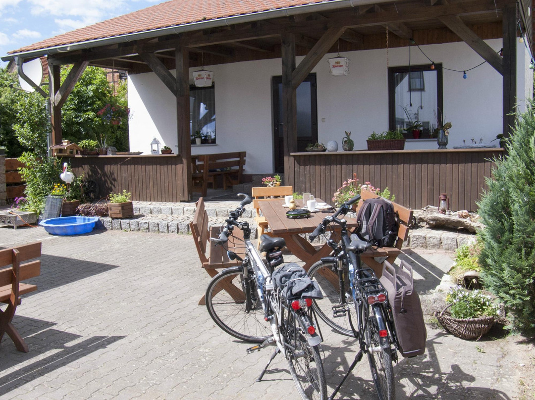 Schonfeld旅游攻略图片