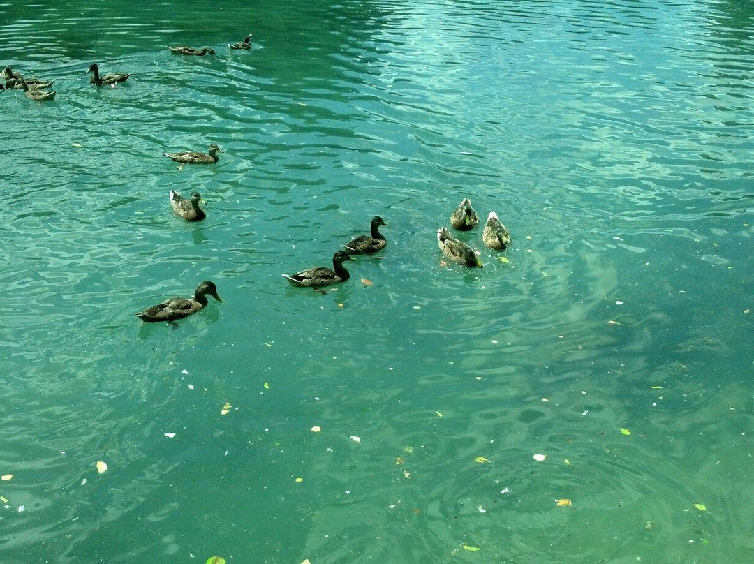 Children's Lake-Boiling Springs必去景点
