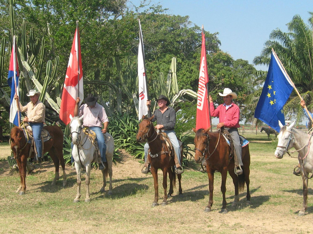 Rancho King Touristic Farm景点图片