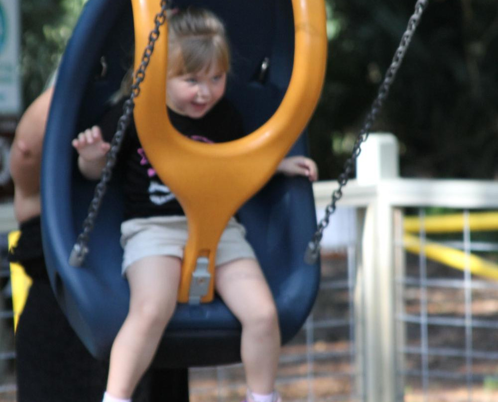 Pirate Playground-费尔南迪纳岛必去景点