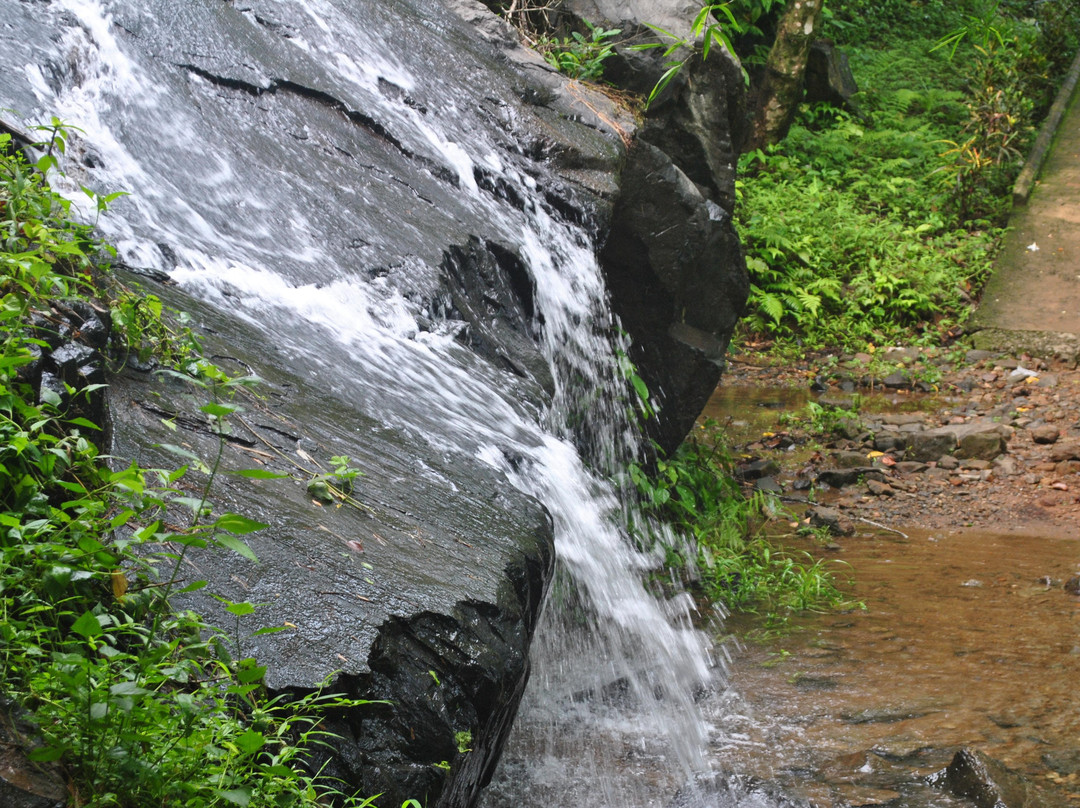 Thusharagiri Waterfalls景点图片