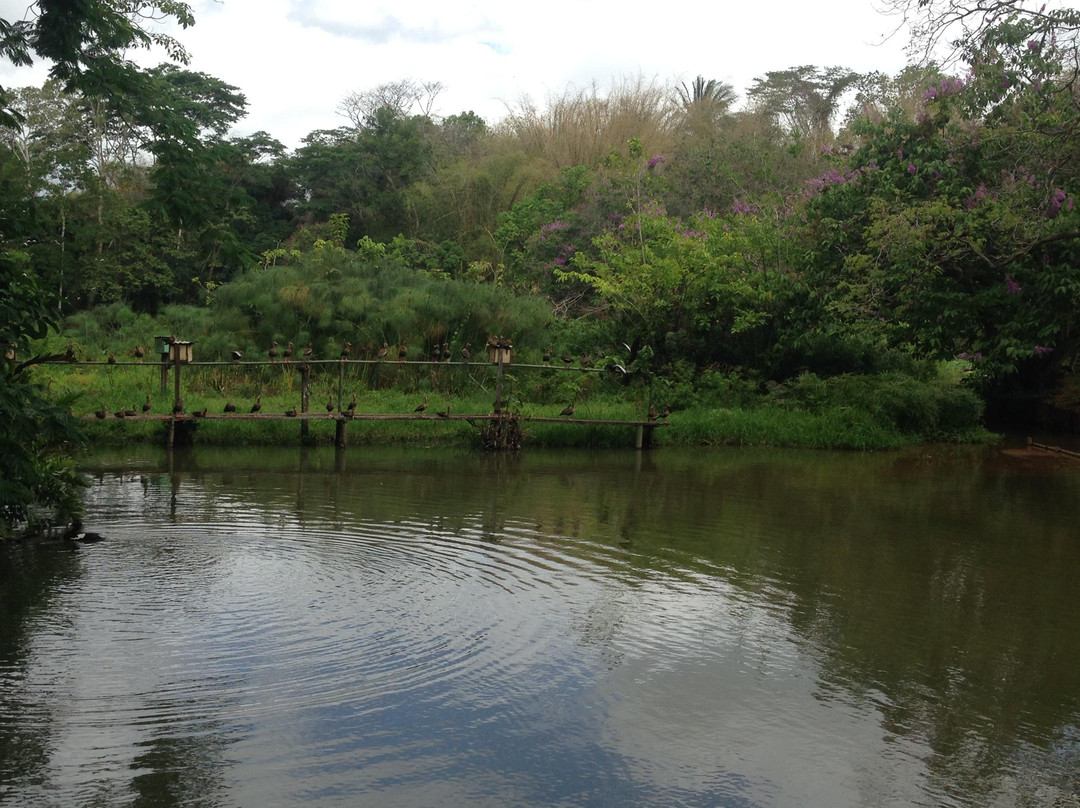 Pointe-à-Pierre Wildfowl-特立尼达必去景点