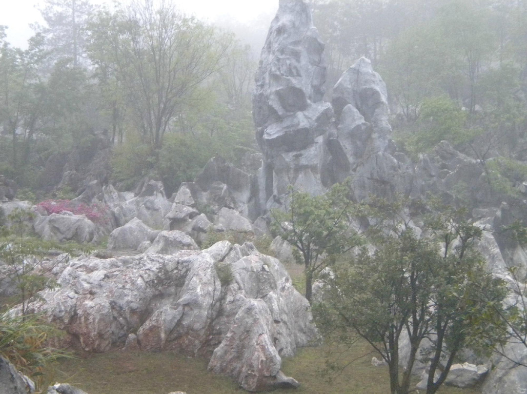 杭州千岛湖石林-淳安县必去景点