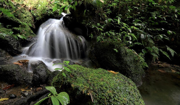 David Metcalf Photography-乌布必去景点