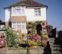 Willow Rise B&B-官方