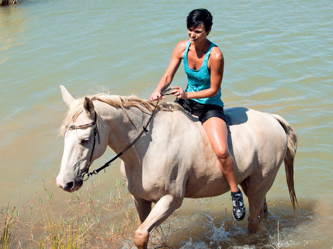Nerina Guest Farm-Robertson必去景点