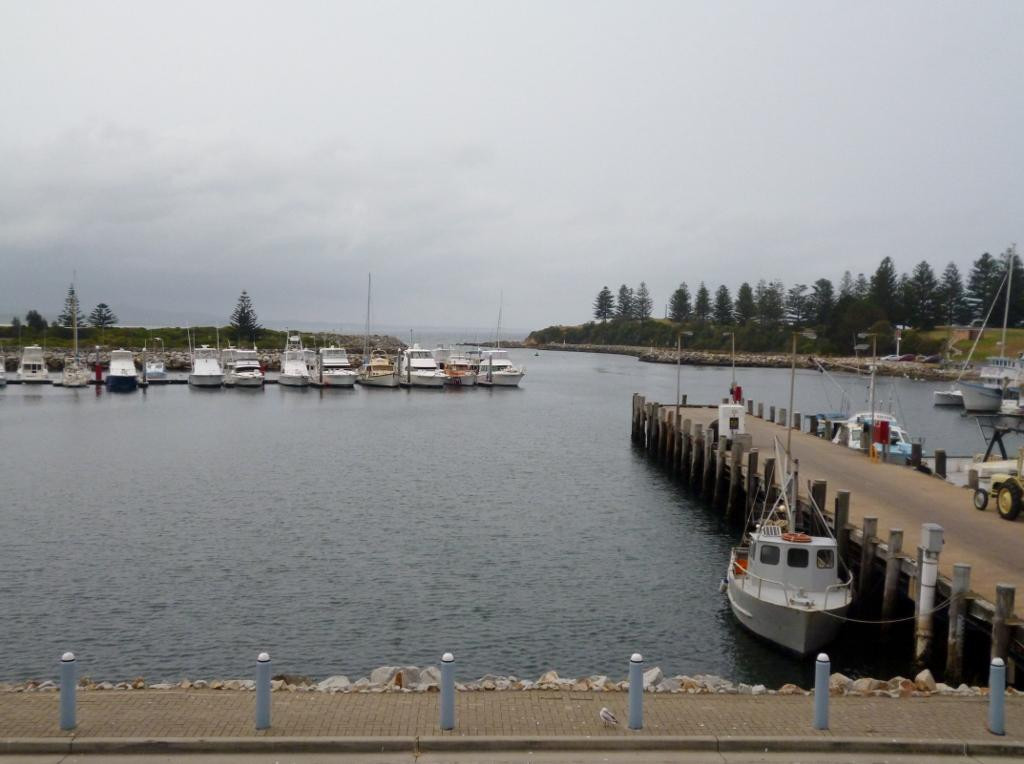 Bermagui Fishermen's Wharf景点图片