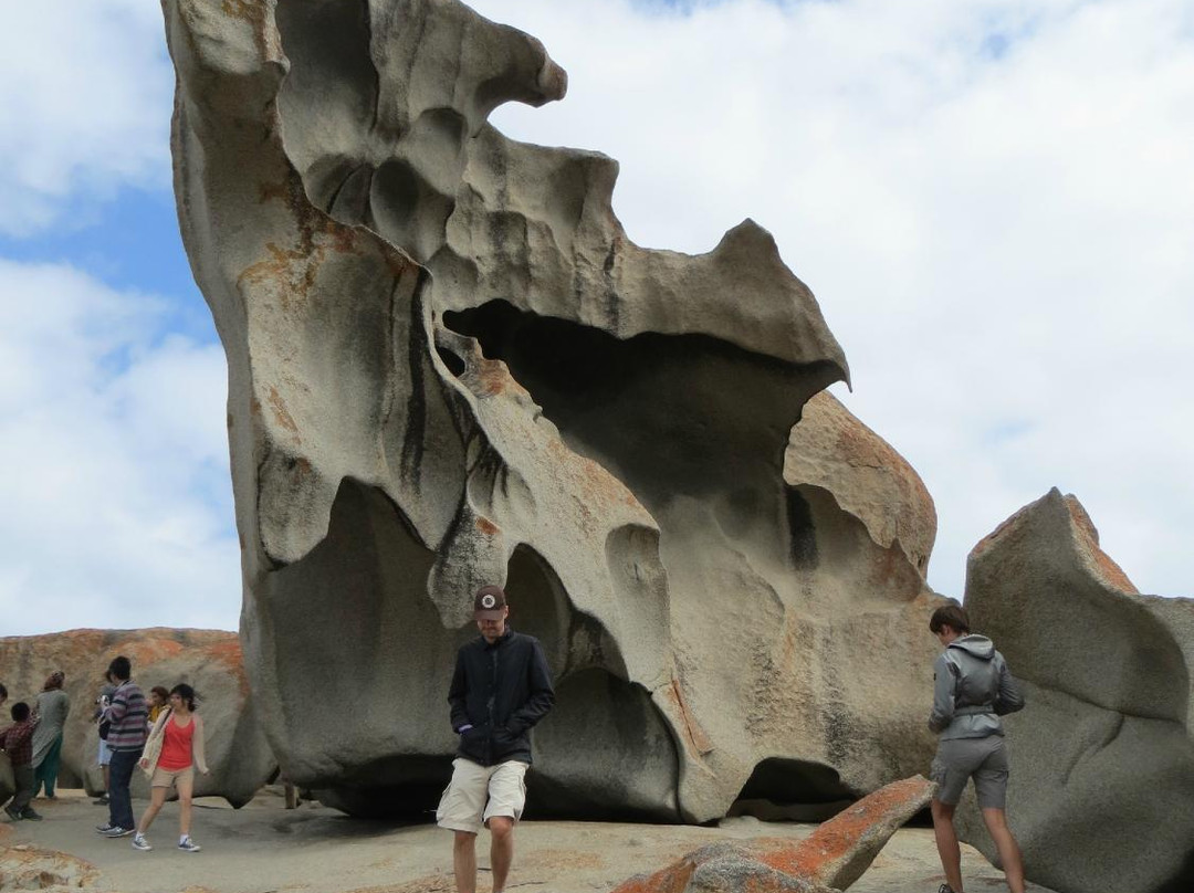 Australian Wildlife Walkabouts Eco Tours景点图片