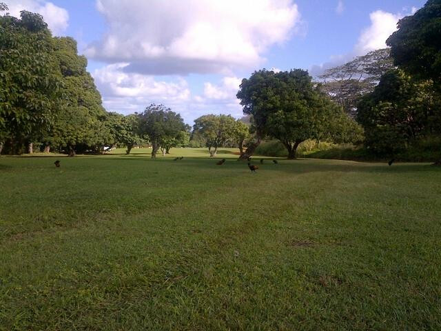 Kahili Mountain Park主图