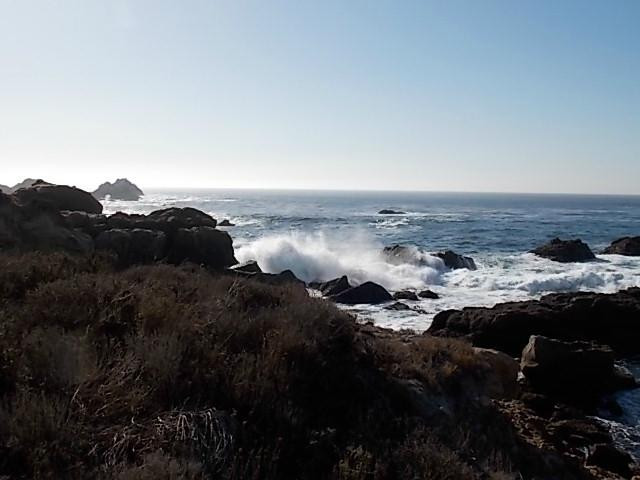 China Cove-卡梅尔必去景点