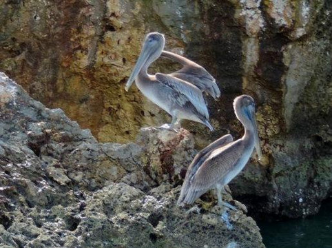 Escape Tours Samana - Day Tours-Santa Barbara de Samana必去景点