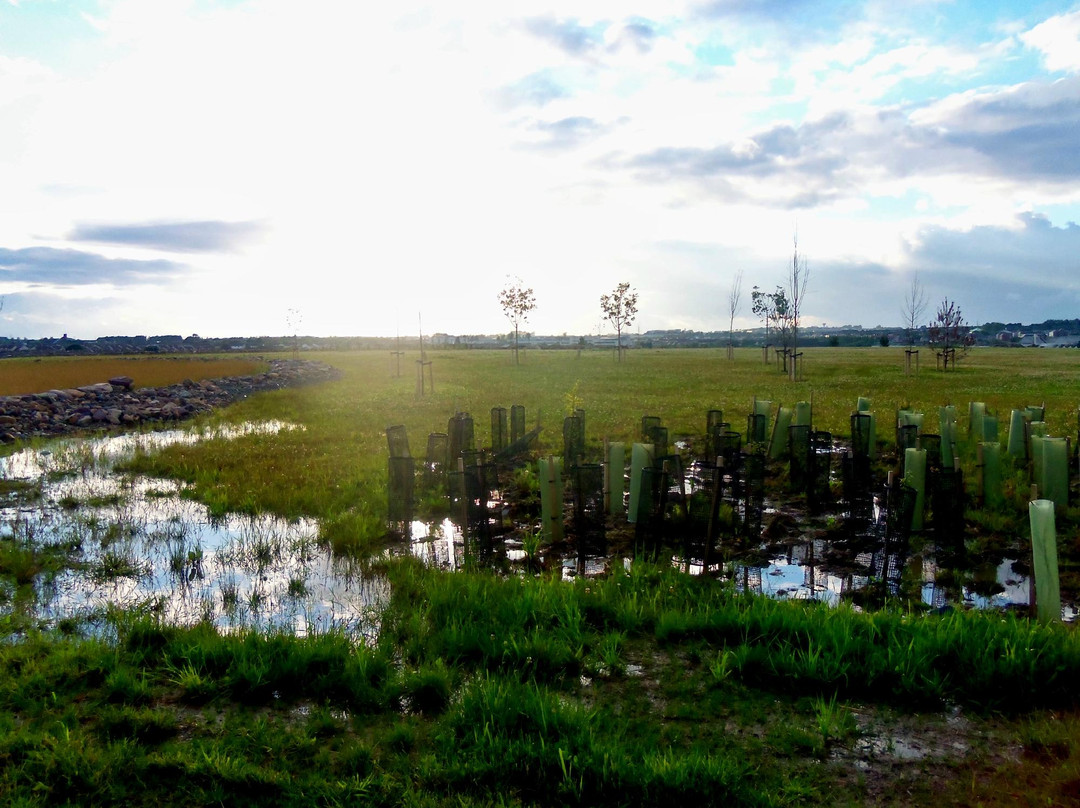 Waterford Nature Park-沃特福德必去景点