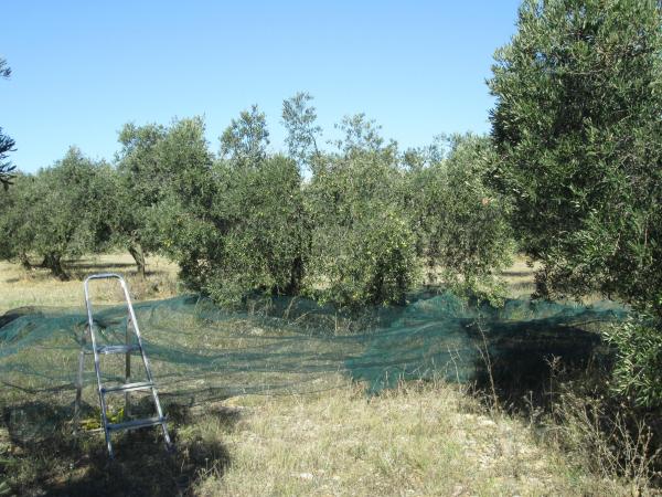 La Vigueirado-客卧