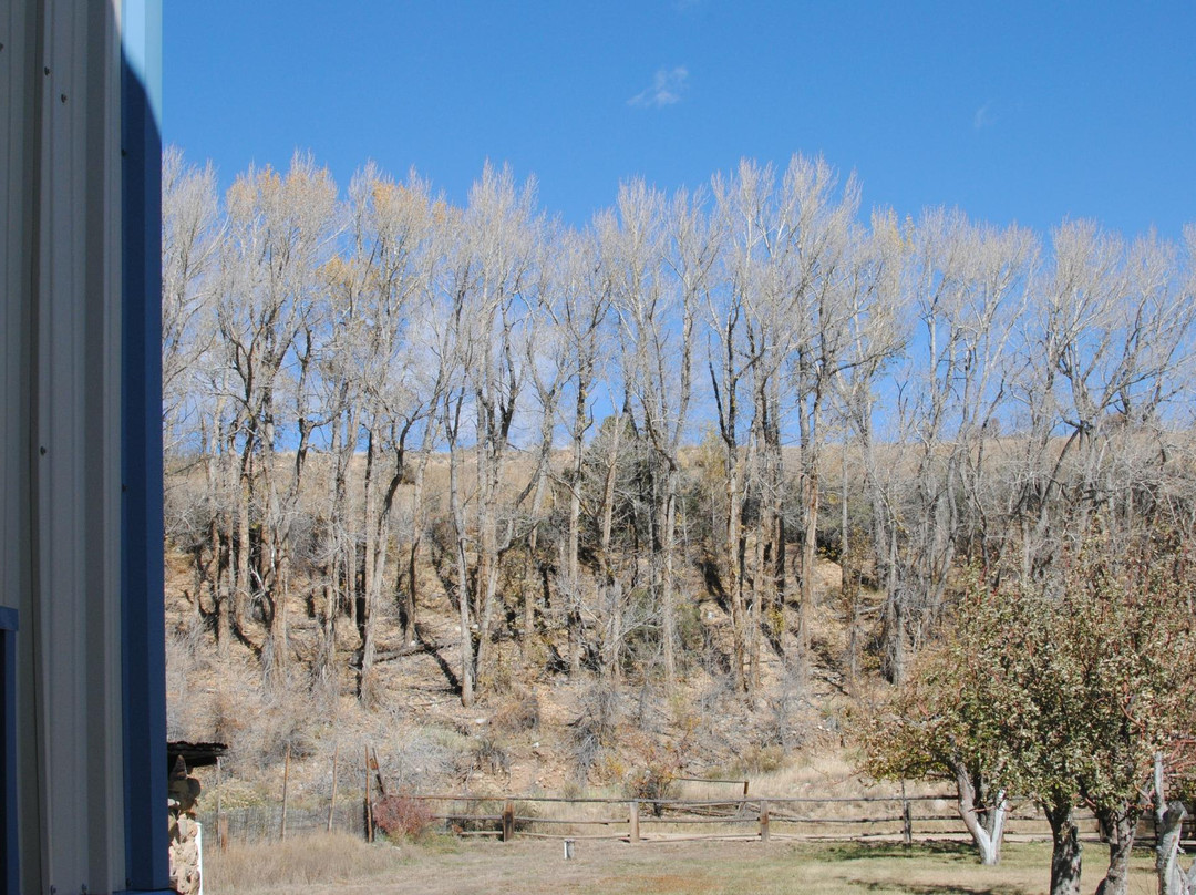 Mountain Spirit Winery-萨利达必去景点