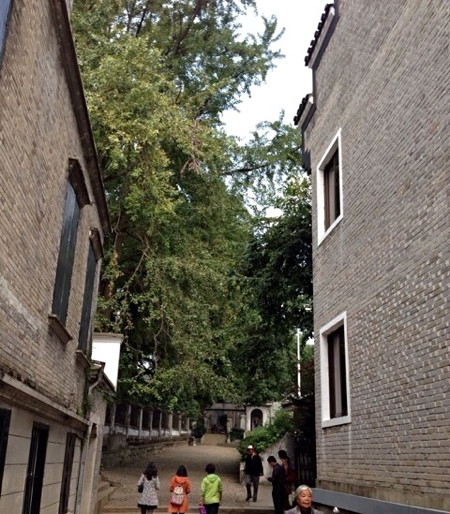 宁波奉化滕头村-奉化市必去景点