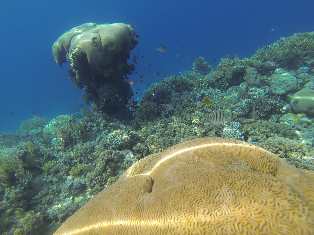 Extra Divers Aqaba-亚喀巴必去景点