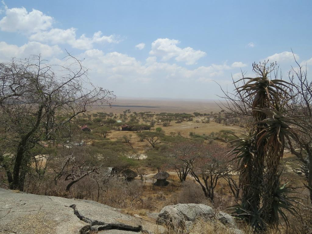 Naabi Hill-塞伦盖蒂国家公园必去景点