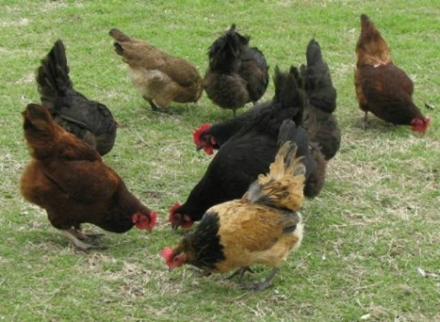 Prairie Wind Farm B&B主图