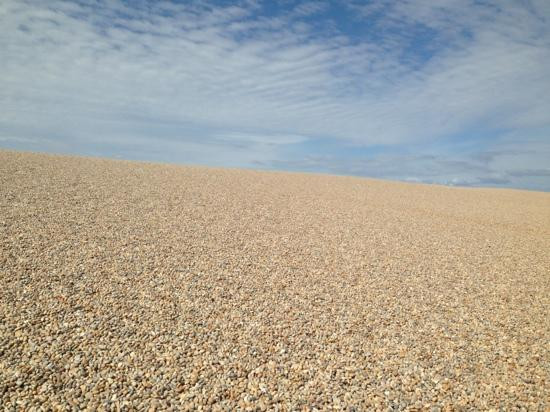Dorset Wildlife Trust Wild Chesil Centre-Isle of Portland必去景点