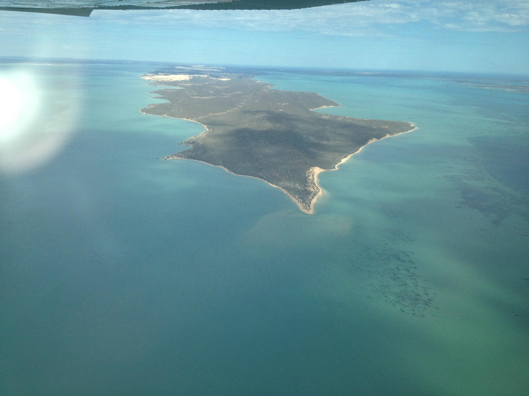 Shark Bay Coaches and Tours-德纳姆必去景点