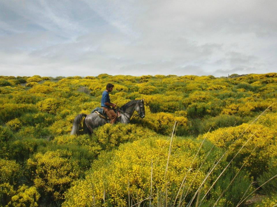Gredos a Caballo-Hoyos del Espino必去景点