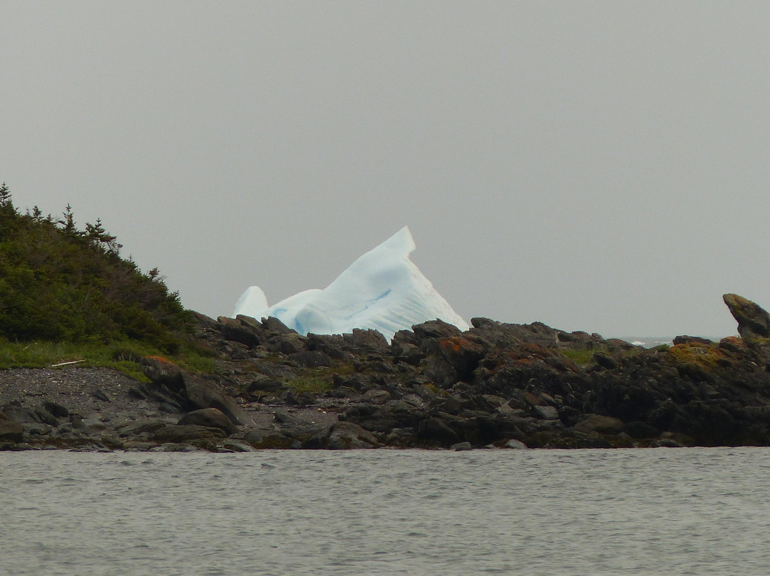 L'Anse Aux Meadows National Historic Site-L'Anse aux Meadows必去景点