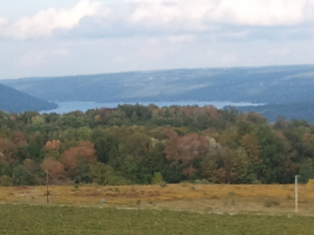 Hammondsport Lodging主图