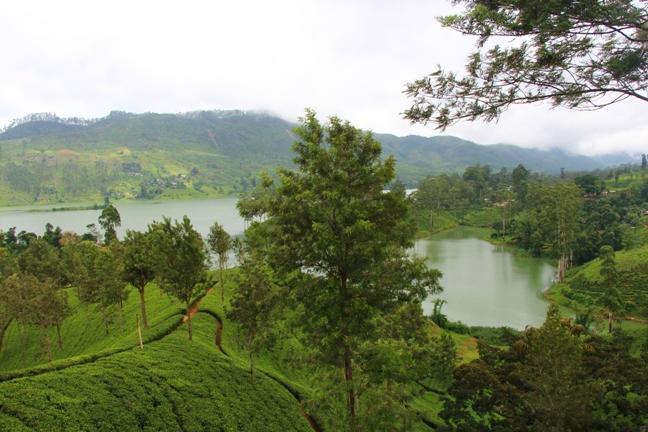 Castlereagh Reservoir-哈顿必去景点
