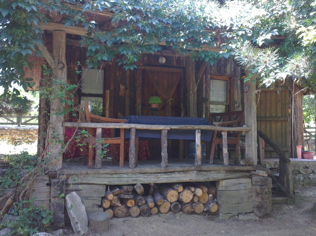 Salici House