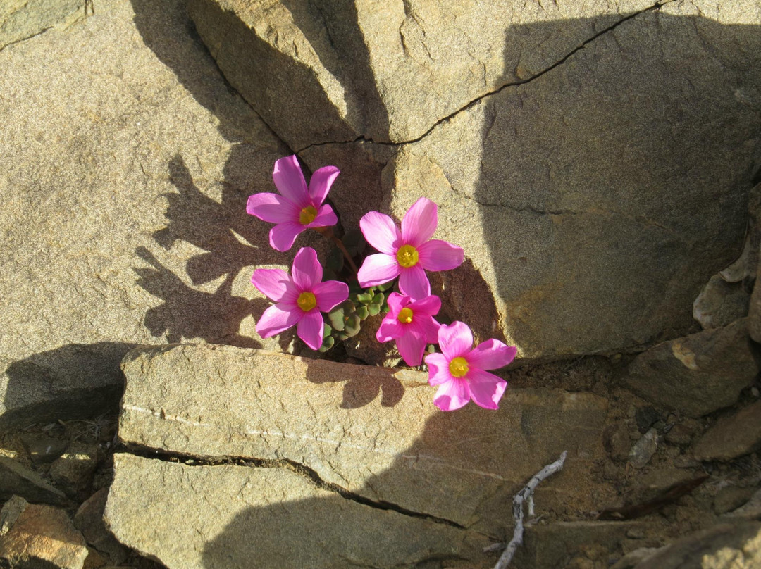 Wolwekraal Nature Reserve景点图片