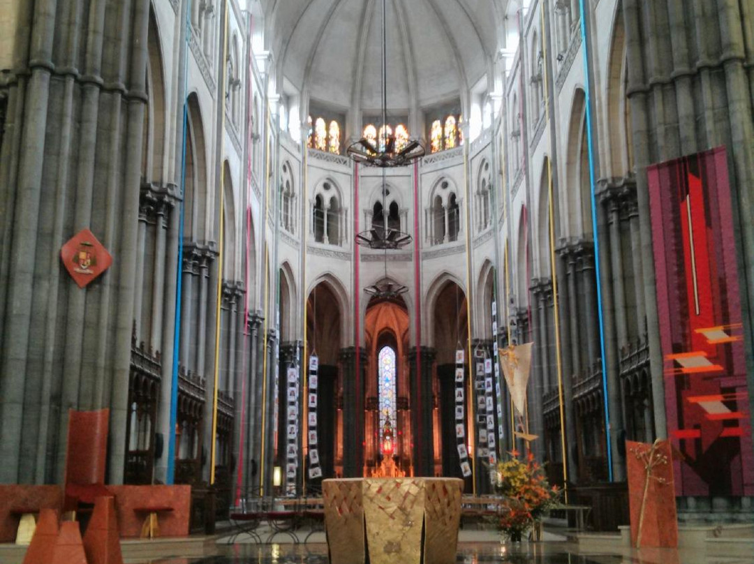Cathedrale de la Treille景点图片