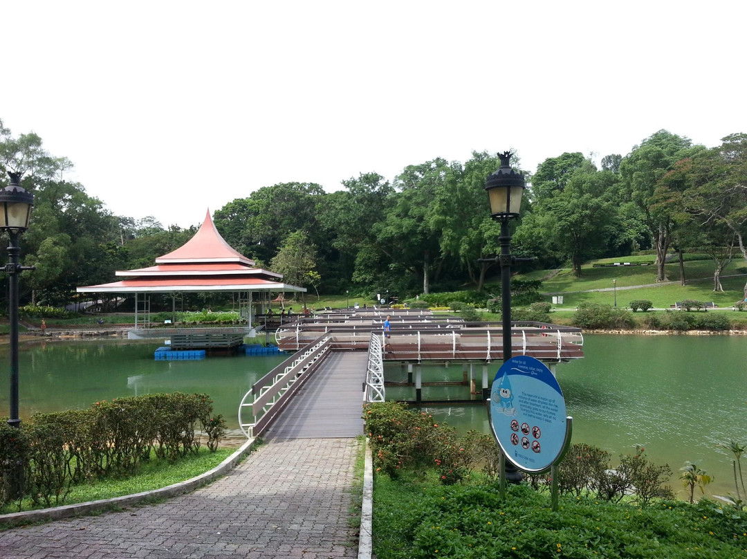 麦里芝自然小径-新加坡必去景点