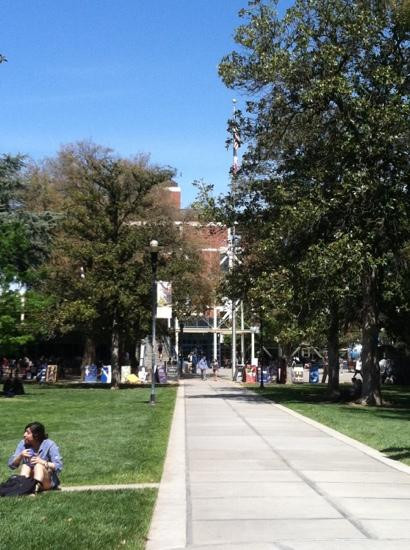 Hattie Weber Museum-戴维斯必去景点