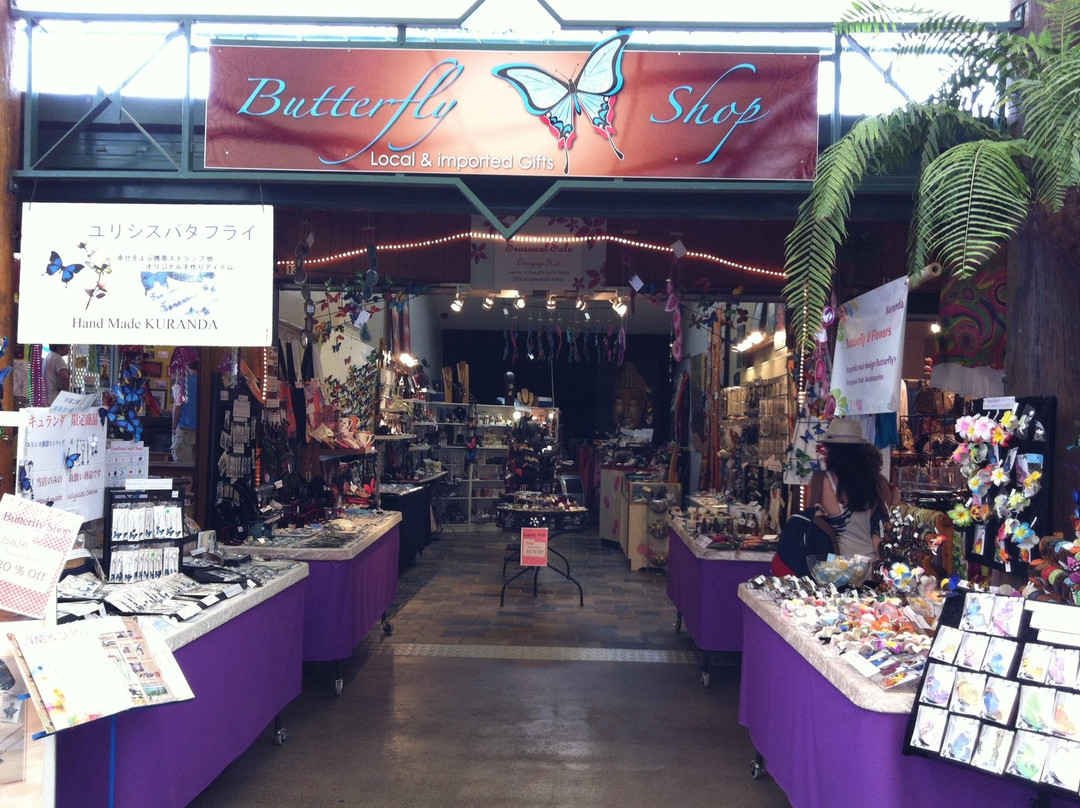 Butterfly Shop Kuranda景点图片
