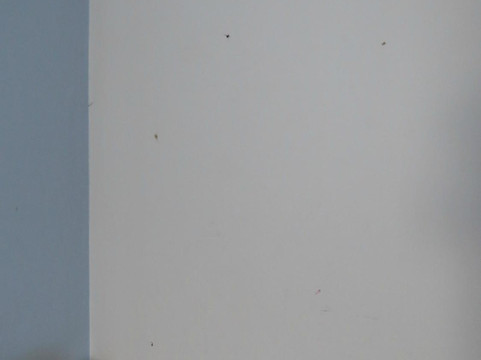 星海琪假日酒店主图