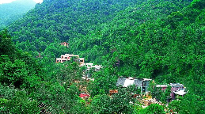 云天海原始森林度假村主图