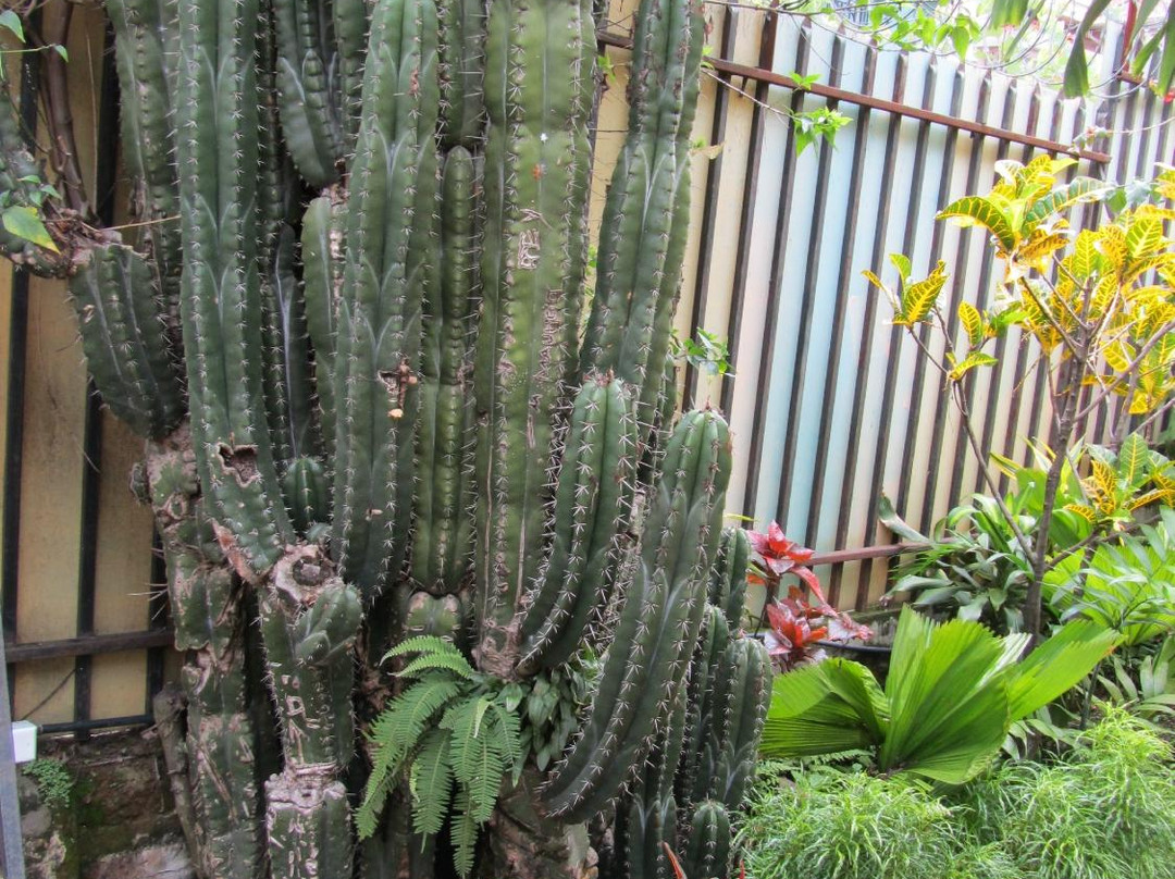 Hotel Mellow Yellow主图