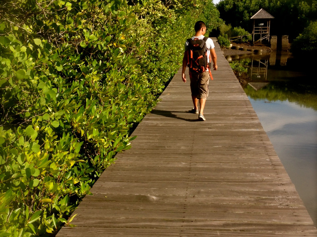 Adimelali Bali-登巴萨必去景点