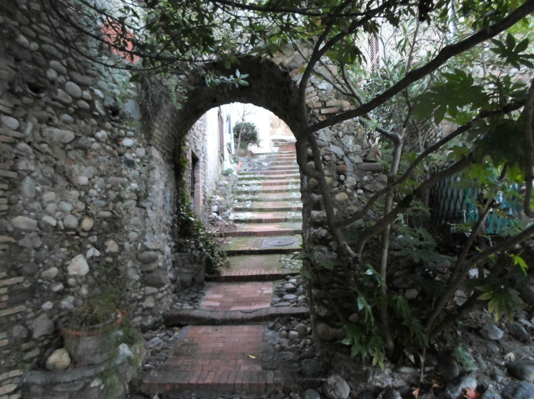 Château-Musée Grimaldi景点图片