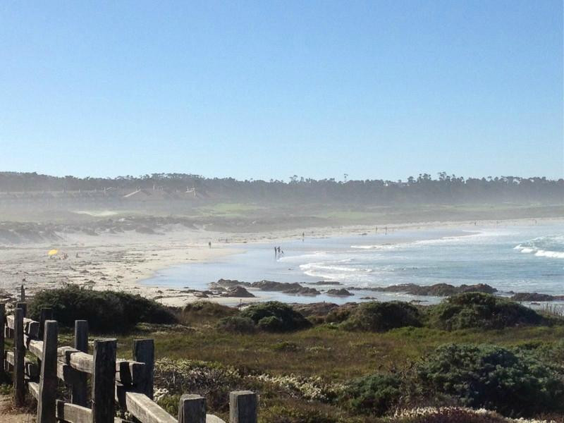 17英里路-蒙特雷必去景点