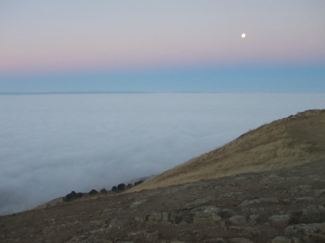 Mission Peak Regional Preserve-费利蒙必去景点