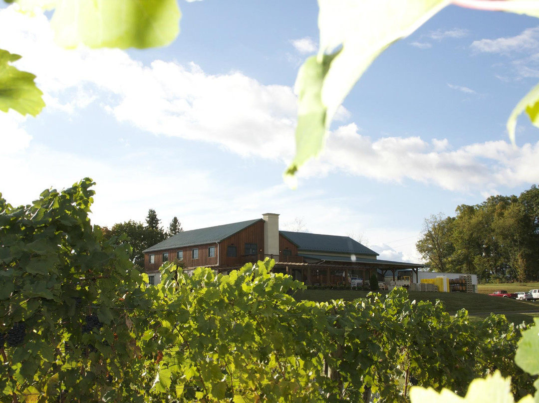 Barren Ridge Vineyards-Fishersville必去景点