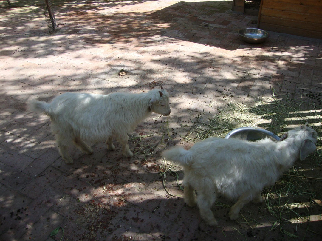 青藏高原野生动物园-西宁市必去景点