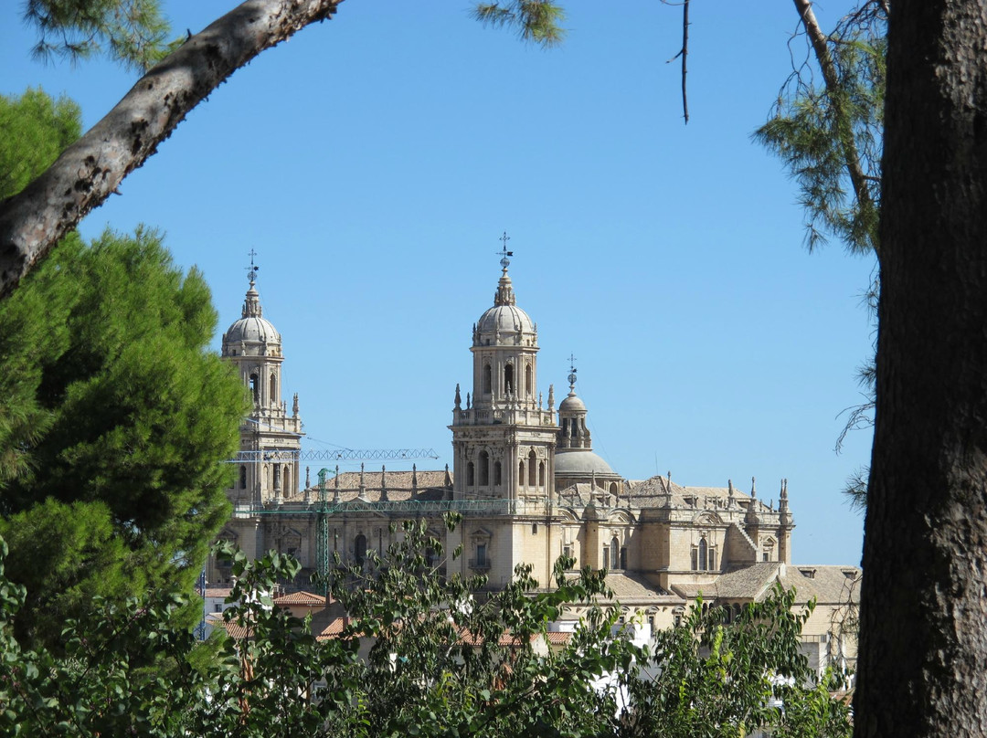 Parque del Seminario景点图片